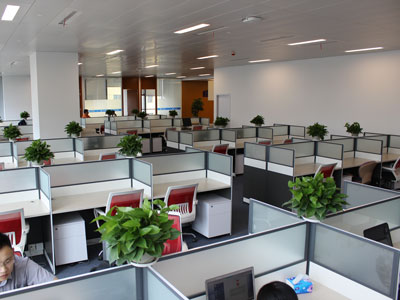 上海离婚纠纷律师